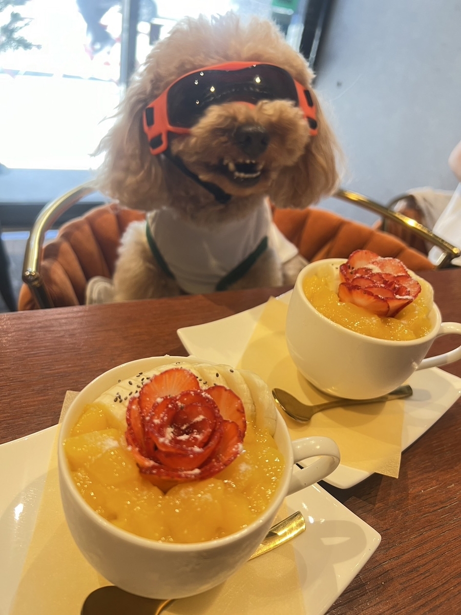 大阪　ペット可　ペット同伴　カフェ　アサイーボウル