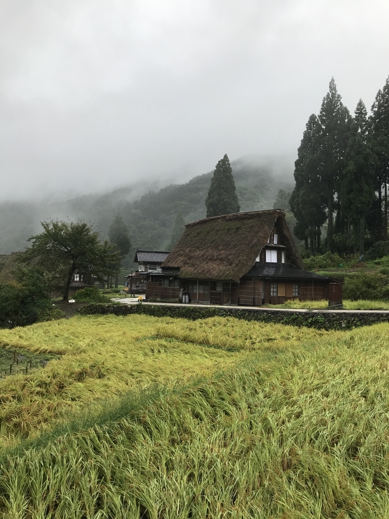 f:id:hiloiuki:20181029101855j:plain f:id:hiloiuki:20181029101855j:plain