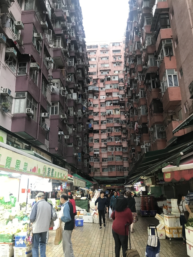 f:id:hiloiuki:20190125095359j:plain f:id:hiloiuki:20190125095359j:plain