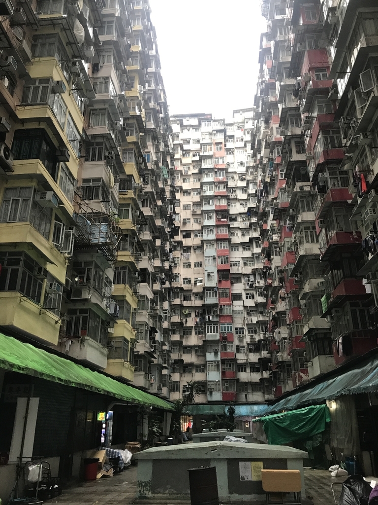 f:id:hiloiuki:20190125095415j:plain f:id:hiloiuki:20190125095415j:plain