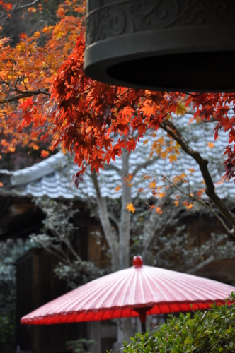 f:id:hiloshi:20081129141938j:image f:id:hiloshi:20081129141938j:image