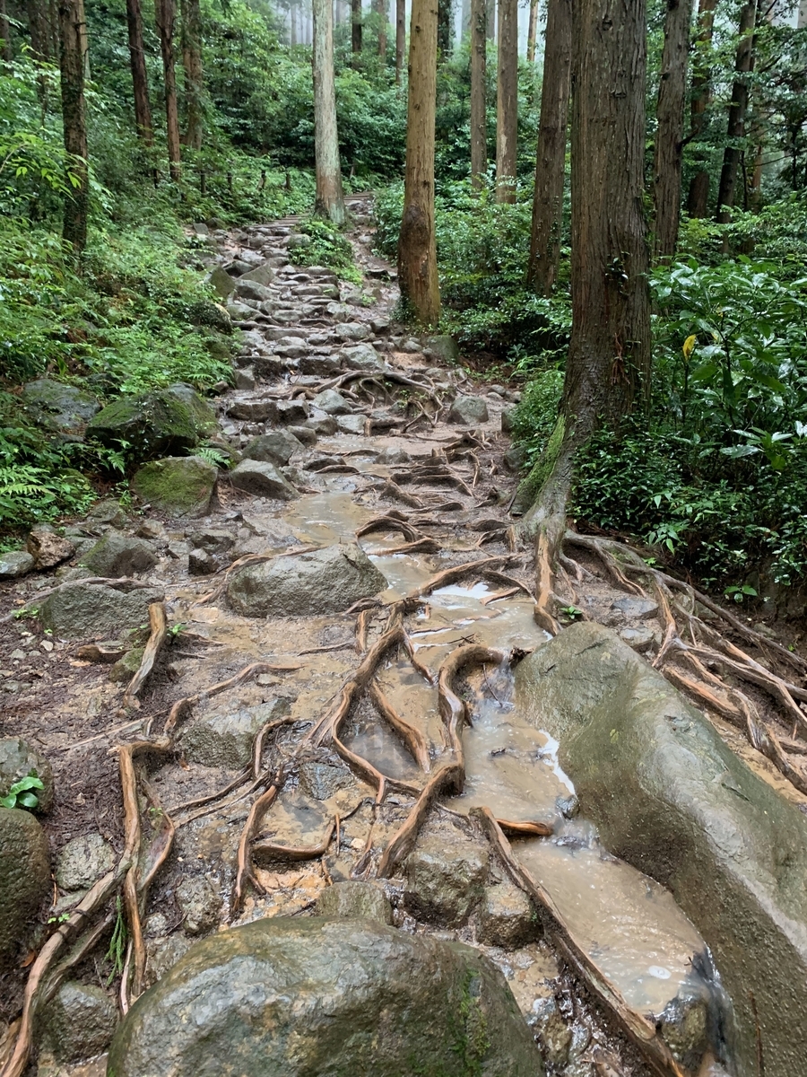 f:id:hima-hito:20191201232757j:plain