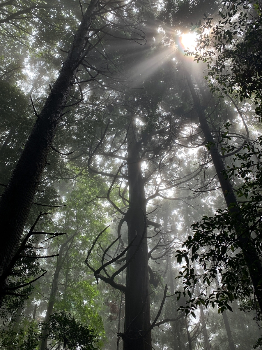 f:id:hima-hito:20191201233213j:plain