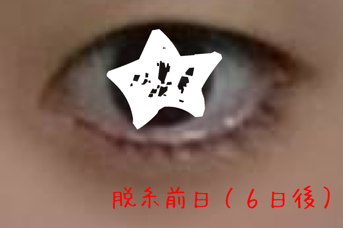 f:id:hima_3:20200128140352j:plain
