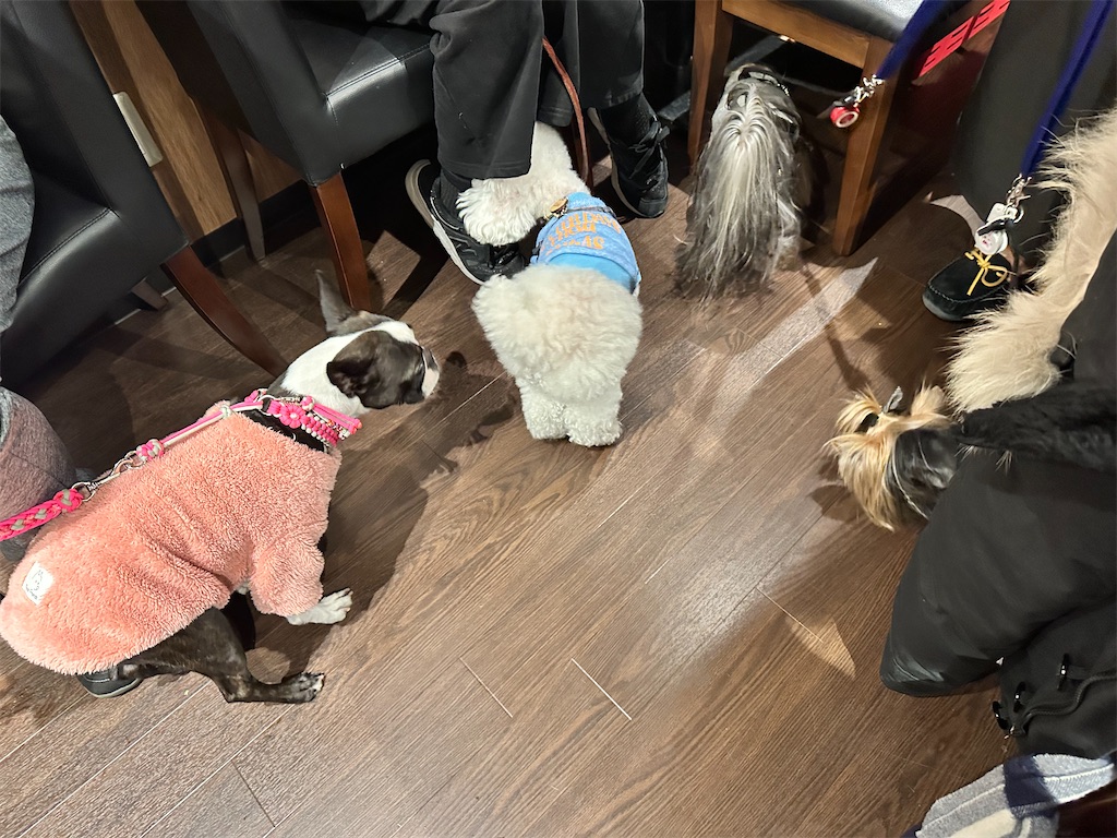 f:id:himahima8:20250330171817j:image f:id:himahima8:20250330171817j:image
