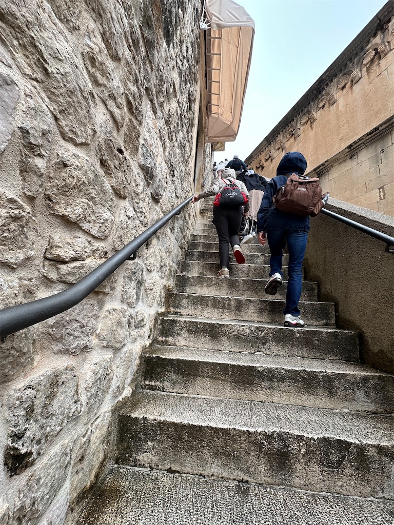 f:id:himahima8:20250504160740j:image