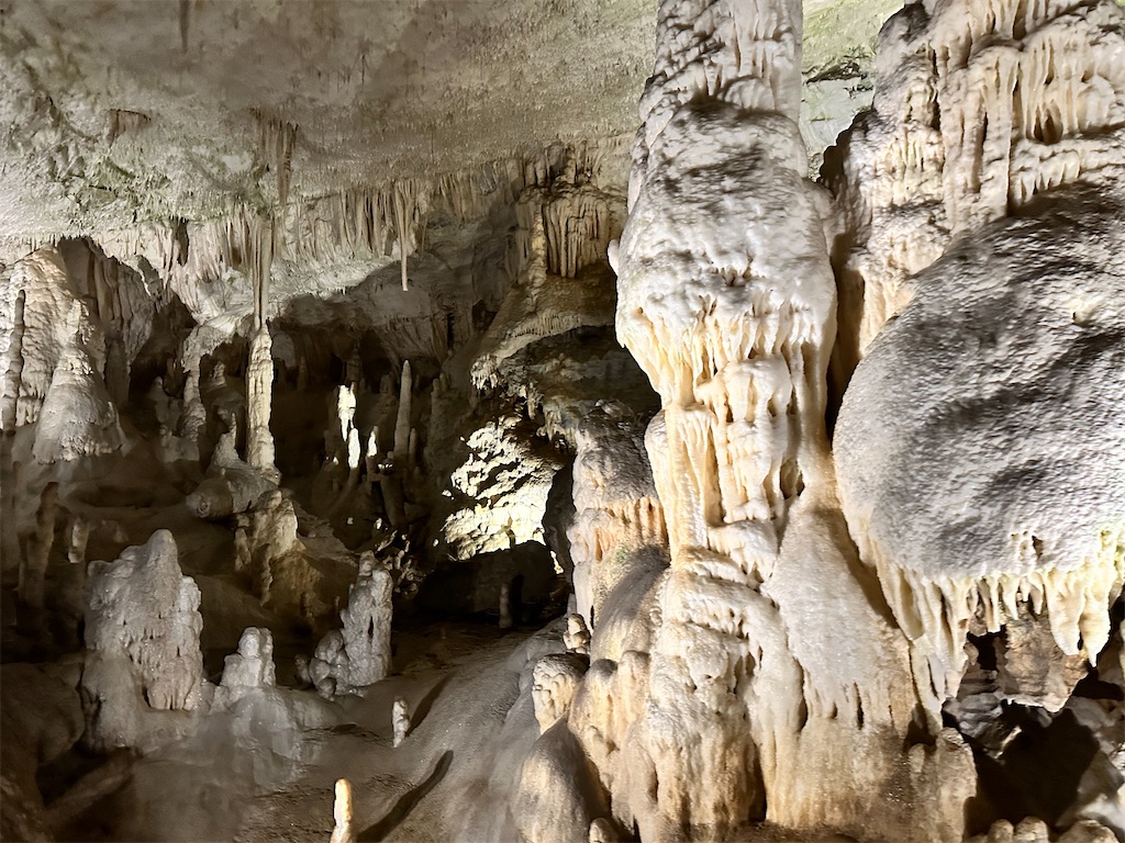 f:id:himahima8:20250505212815j:image