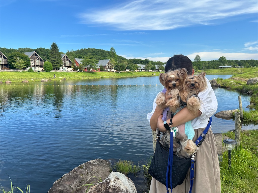 f:id:himahima8:20250805184808j:image