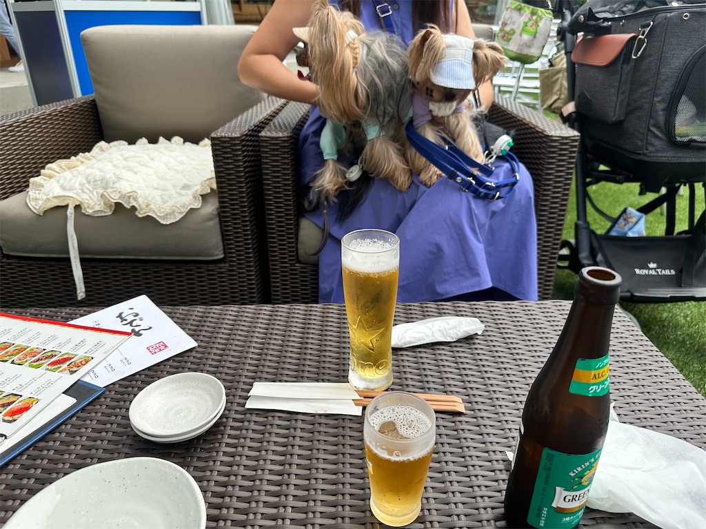 f:id:himahima8:20250808230611j:image