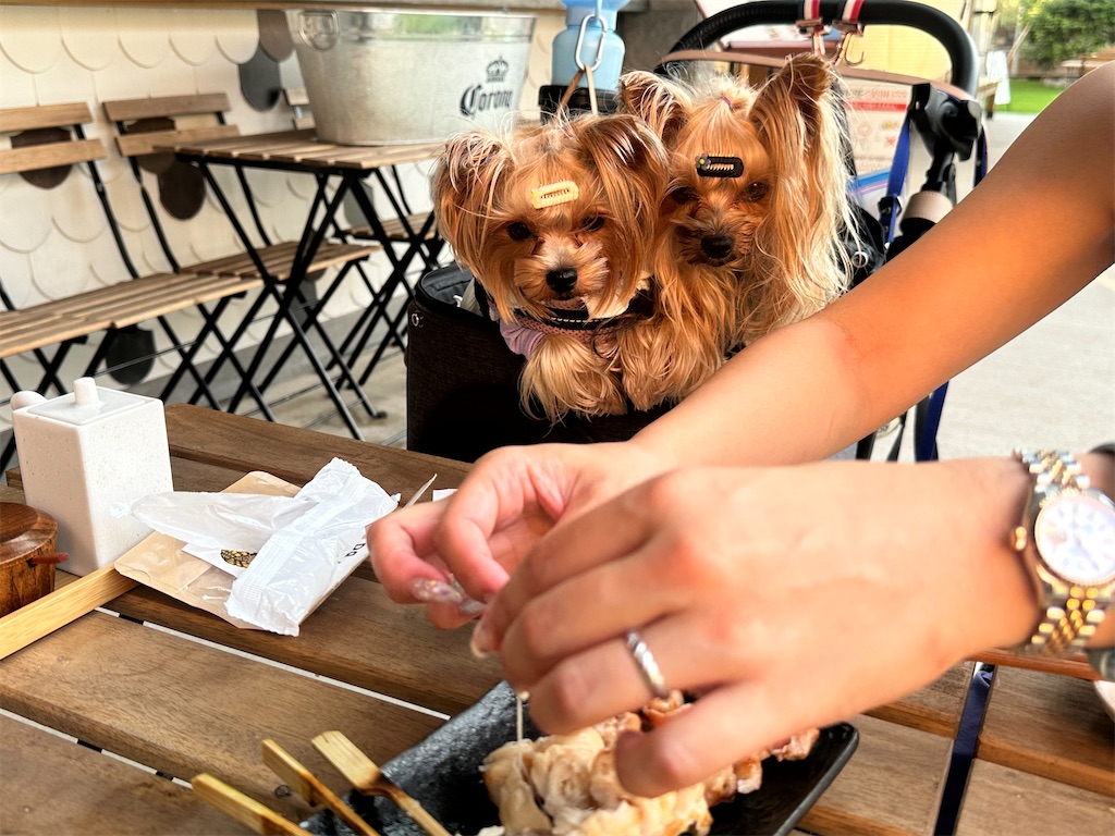 f:id:himahima8:20250808230648j:image