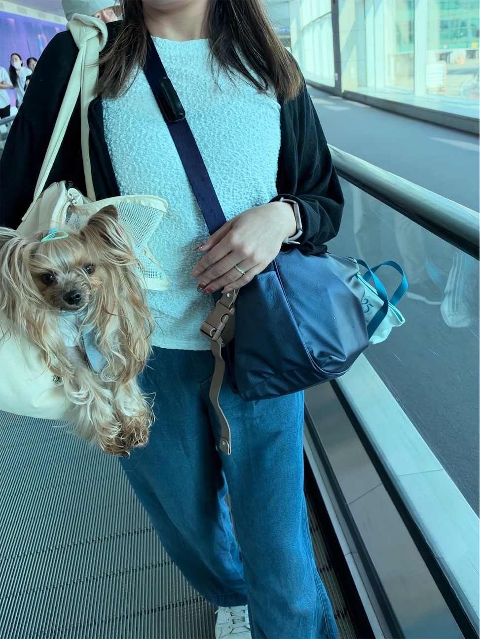 f:id:himahima8:20261002201137j:image f:id:himahima8:20261002201137j:image