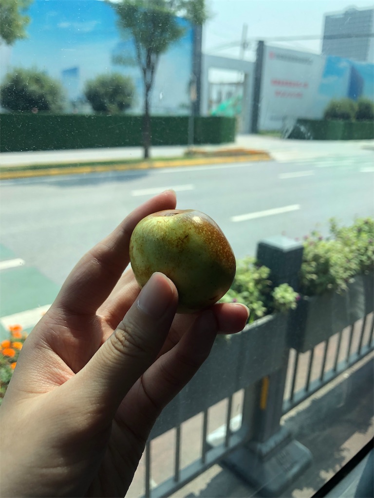 f:id:himajin-daigakusei:20190920220652j:image