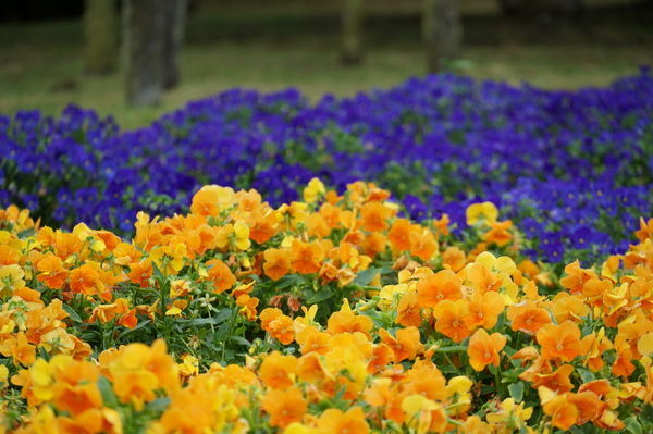 f:id:himanahitoda:20191007153405j:plain f:id:himanahitoda:20191007153405j:plain