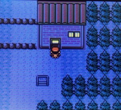 ポケモン金銀 赤いギャラドスをゲットしてみた 攻略日記 くろねこの暇つぶしブログ