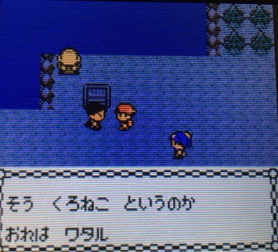 ポケモン金銀 赤いギャラドスをゲットしてみた 攻略日記 くろねこの暇つぶしブログ