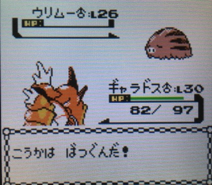 ポケモン金銀 チョウジジムを攻略してみた 攻略日記 くろねこの暇つぶしブログ ポケモン金銀 チョウジジムを攻略してみた 攻略日記 くろねこの暇つぶしブログ
