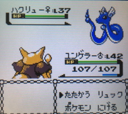 ポケモン金銀 ジョウト地方最後のバッジ フスベジムを攻略してみた 攻略日記 くろねこの暇つぶしブログ
