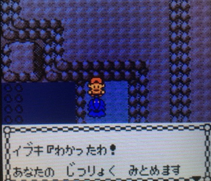 レア ポケモン 金 銀ピンバッジ Fakum Untad Ac Id