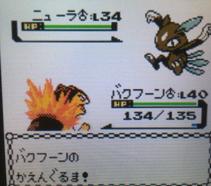 ポケモン金銀 チャンピオンロードを攻略してみた 攻略日記 くろねこの暇つぶしブログ