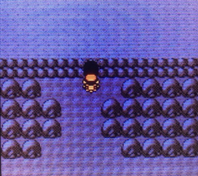 ポケモン金銀 チャンピオンロードを攻略してみた 攻略日記 くろねこの暇つぶしブログ