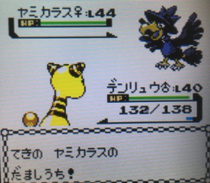 ポケモン金銀 軟弱なパーティーで四天王に挑んでみたその3 攻略日記 くろねこの暇つぶしブログ ポケモン金銀 軟弱なパーティーで四天王に挑んでみたその3 攻略日記 くろねこの暇つぶしブログ
