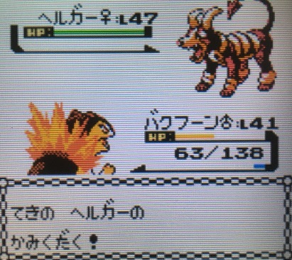 ポケモン金銀 軟弱なパーティーで四天王に挑んでみたその3 攻略日記 くろねこの暇つぶしブログ ポケモン金銀 軟弱なパーティーで四天王に挑んでみたその3 攻略日記 くろねこの暇つぶしブログ