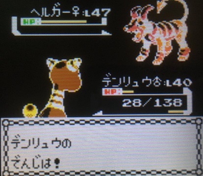 ポケモン金銀 軟弱なパーティーで四天王に挑んでみたその3 攻略日記 くろねこの暇つぶしブログ ポケモン金銀 軟弱なパーティーで四天王に挑んでみたその3 攻略日記 くろねこの暇つぶしブログ