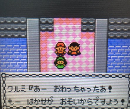 ポケモン金銀 軟弱なパーティーで四天王に挑んでみた 最終回 攻略日記 くろねこの暇つぶしブログ