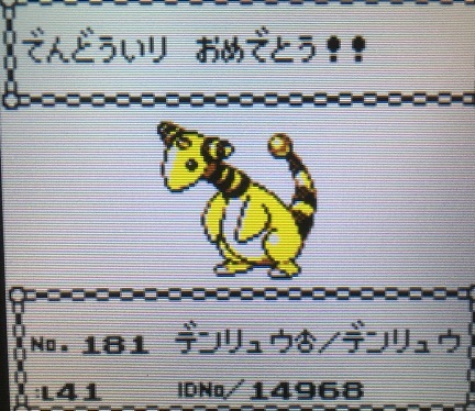 ポケモン金銀 軟弱なパーティーで四天王に挑んでみた 最終回 攻略日記 くろねこの暇つぶしブログ
