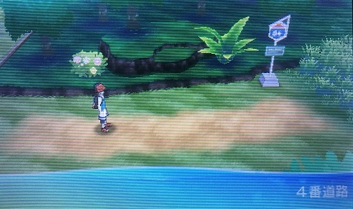 ポケモンウルトラサンムーン 4番道路からオハナ牧場までを攻略してみた 攻略日記 くろねこの暇つぶしブログ
