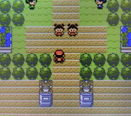 ポケモン金銀 タマムシジムを攻略 エリカはくさタイプ使い 攻略日記 くろねこの暇つぶしブログ
