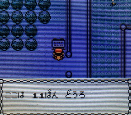 ポケモン金銀 ニビシティでにじいろのはね ぎんいろのはねを入手しよう 攻略日記 くろねこの暇つぶしブログ