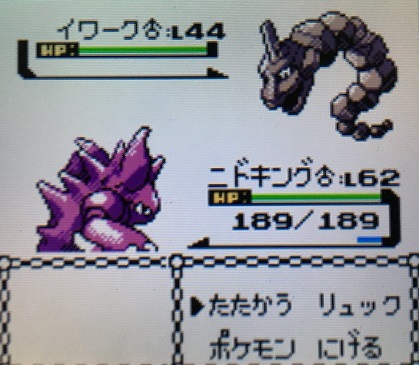 ポケモン金銀 ニビシティでにじいろのはね ぎんいろのはねを入手しよう 攻略日記 くろねこの暇つぶしブログ