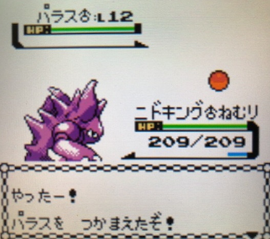 ポケモン金銀 おつきみやま攻略 ピッピを捕まえよう 攻略日記 くろねこの暇つぶしブログ ポケモン金銀 おつきみやま攻略 ピッピを捕まえよう 攻略日記 くろねこの暇つぶしブログ