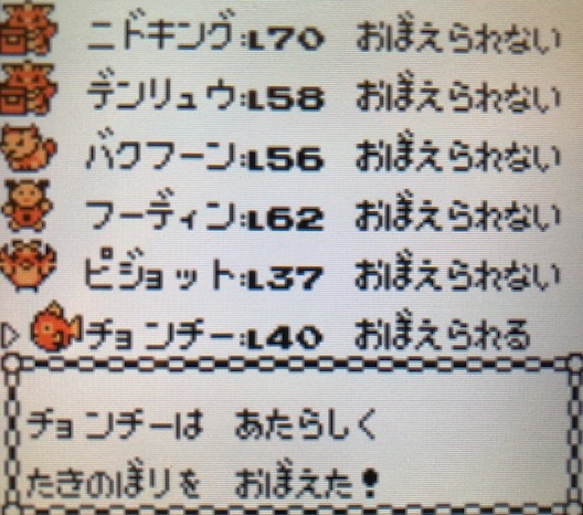 ポケモン金銀 シロガネヤマの入口からレッド手前まで攻略してみた 攻略日記 くろねこの暇つぶしブログ ポケモン金銀 シロガネヤマの入口からレッド手前まで攻略してみた 攻略日記 くろねこの暇つぶしブログ
