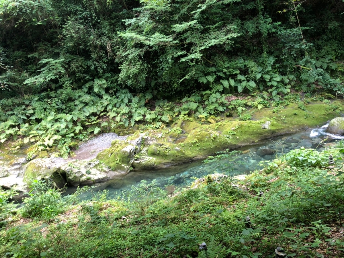 f:id:himariken-bass:20190908223401j:plain