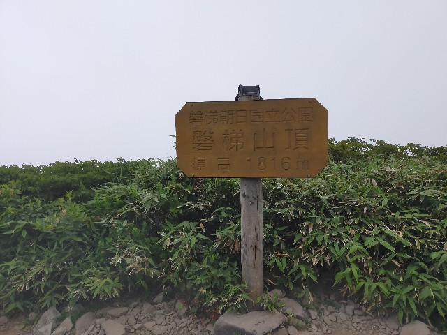 f:id:himarine:20230731180541j:image