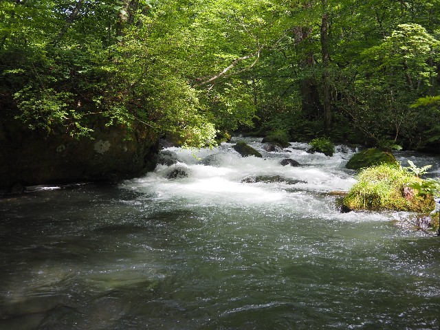 f:id:himarine:20240809170913j:image