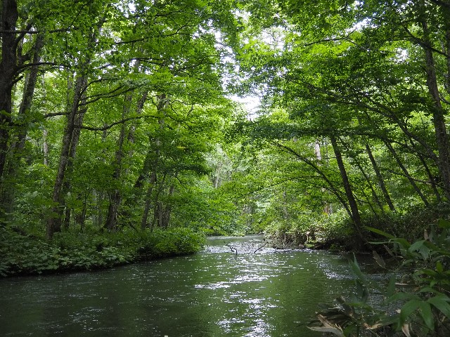 f:id:himarine:20240809170930j:image