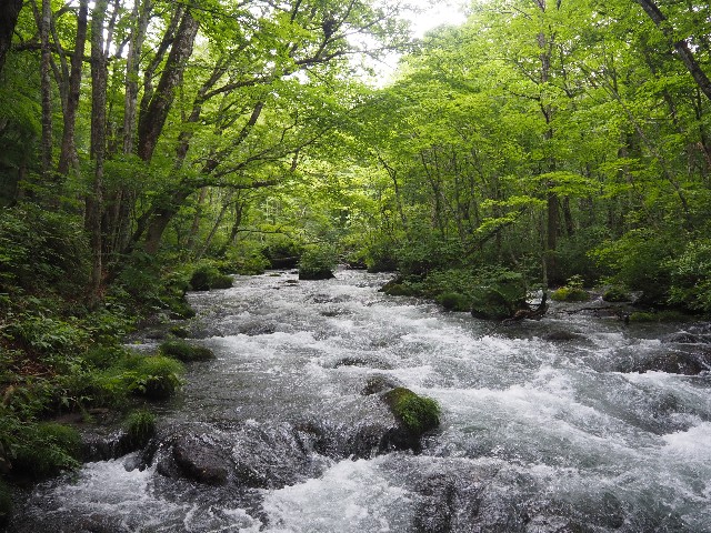 f:id:himarine:20240809171004j:image