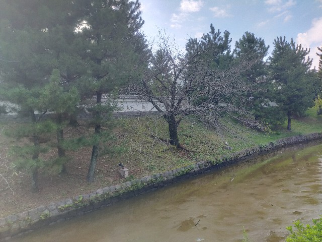 f:id:himarine:20240910181612j:image
