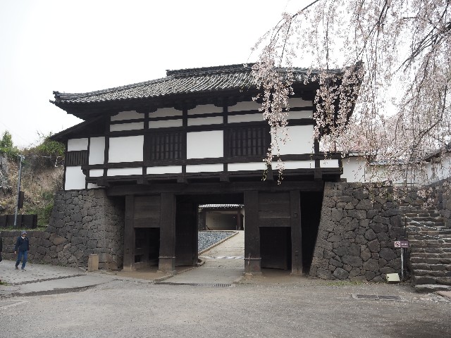 f:id:himarine:20250419094439j:image