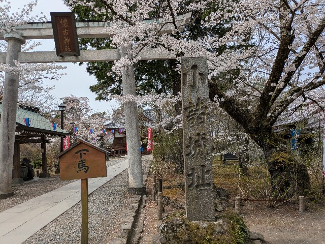 f:id:himarine:20250419094548j:image