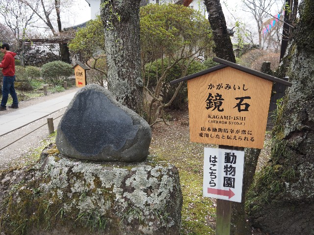 f:id:himarine:20250419095748j:image