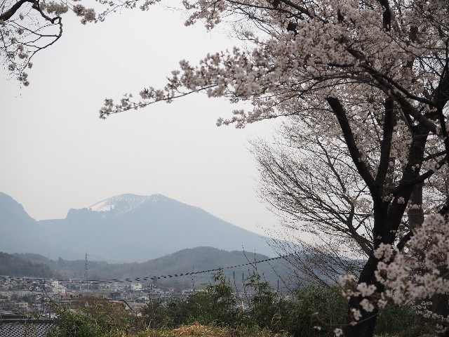 f:id:himarine:20250419095855j:image