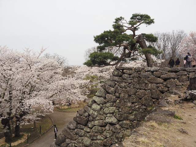 f:id:himarine:20250419100002j:image