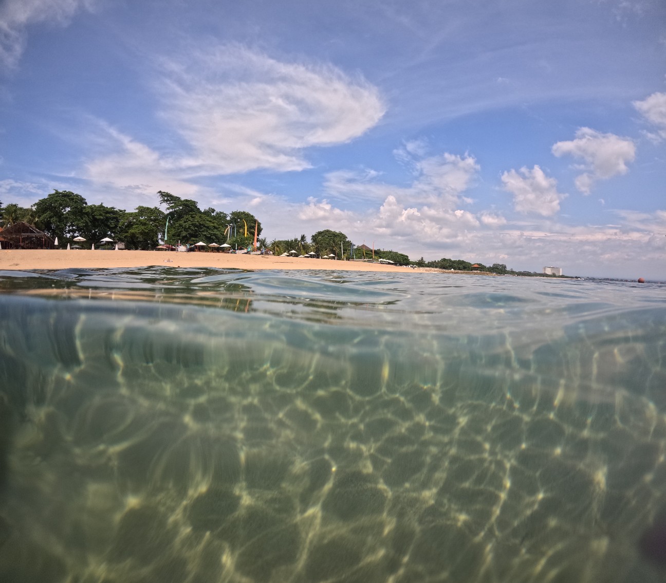 f:id:himarine:20260114220746j:image