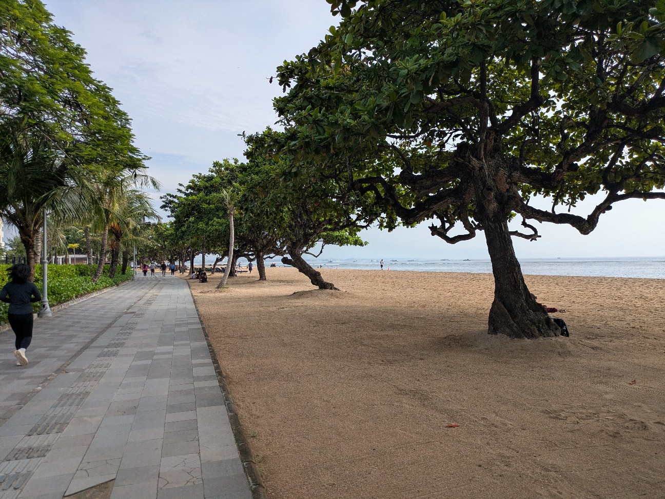 f:id:himarine:20260115225246j:image