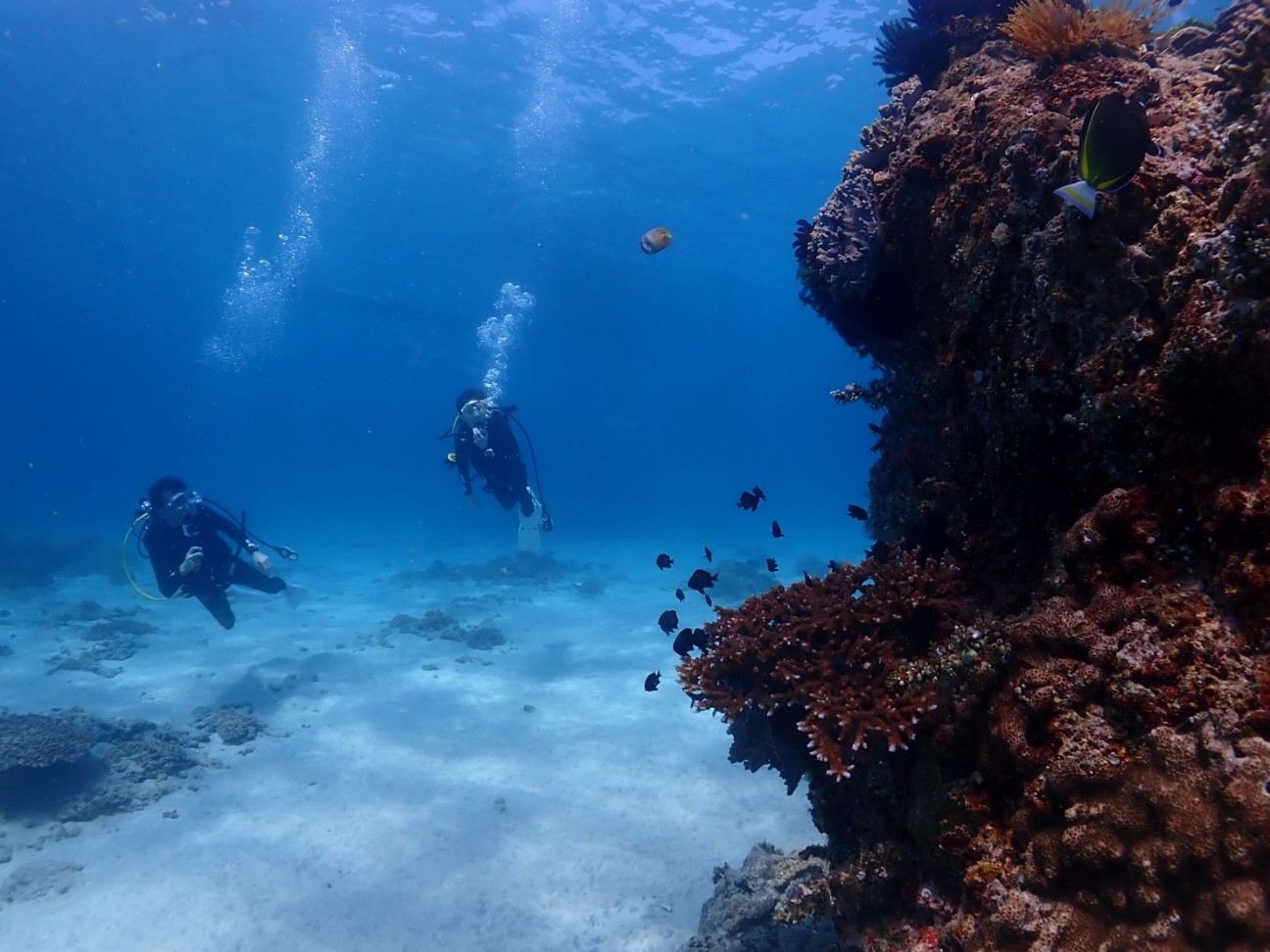 f:id:himarine:20260116222256j:image