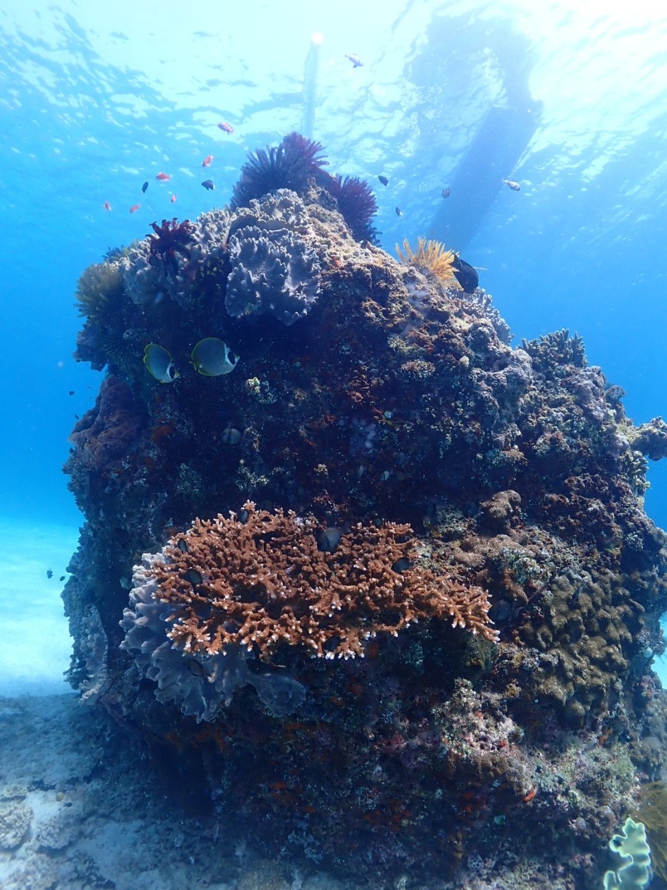 f:id:himarine:20260116222310j:image